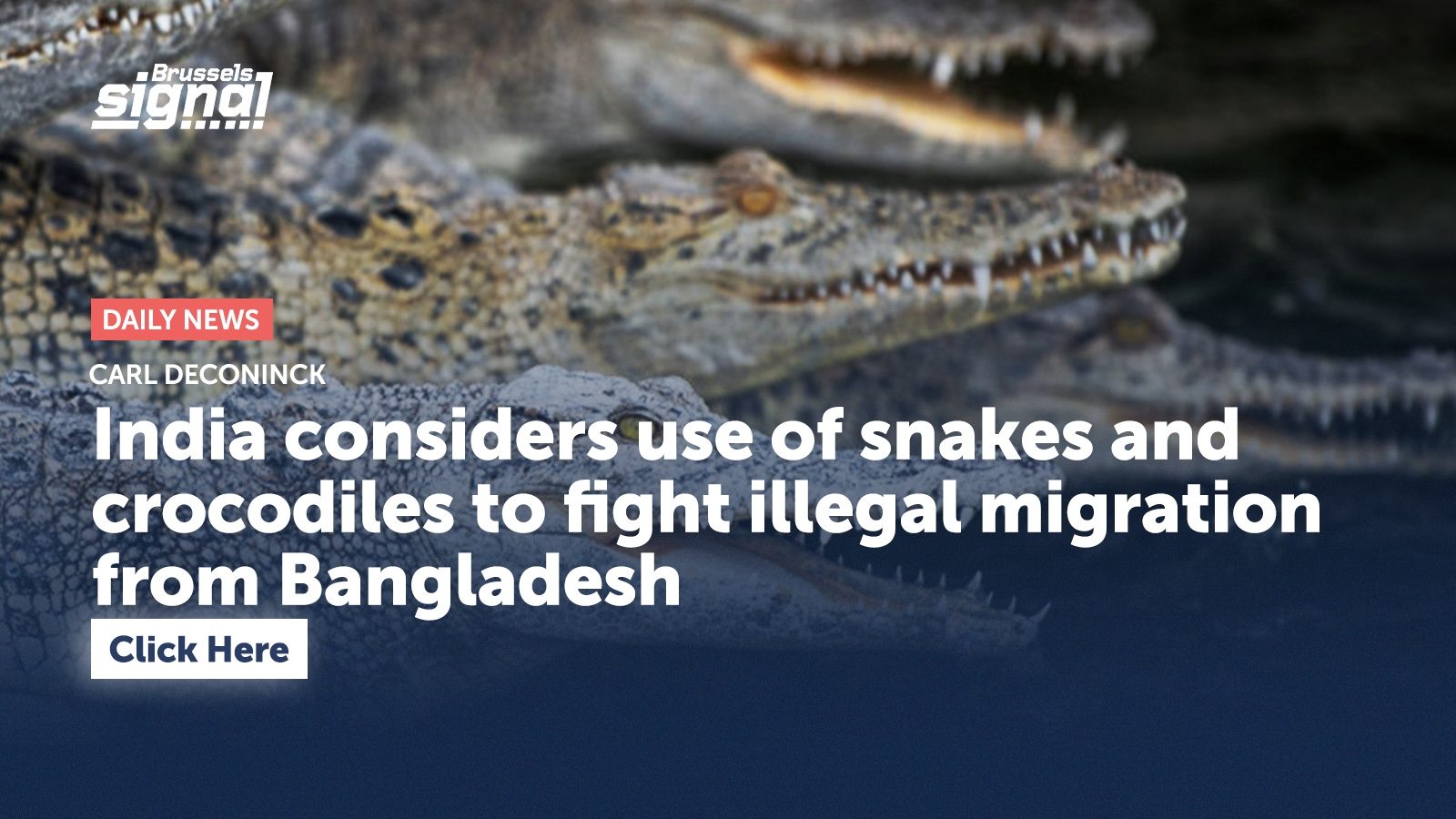 India considers use of snakes and crocodiles to fight illegal migration from Bangladesh