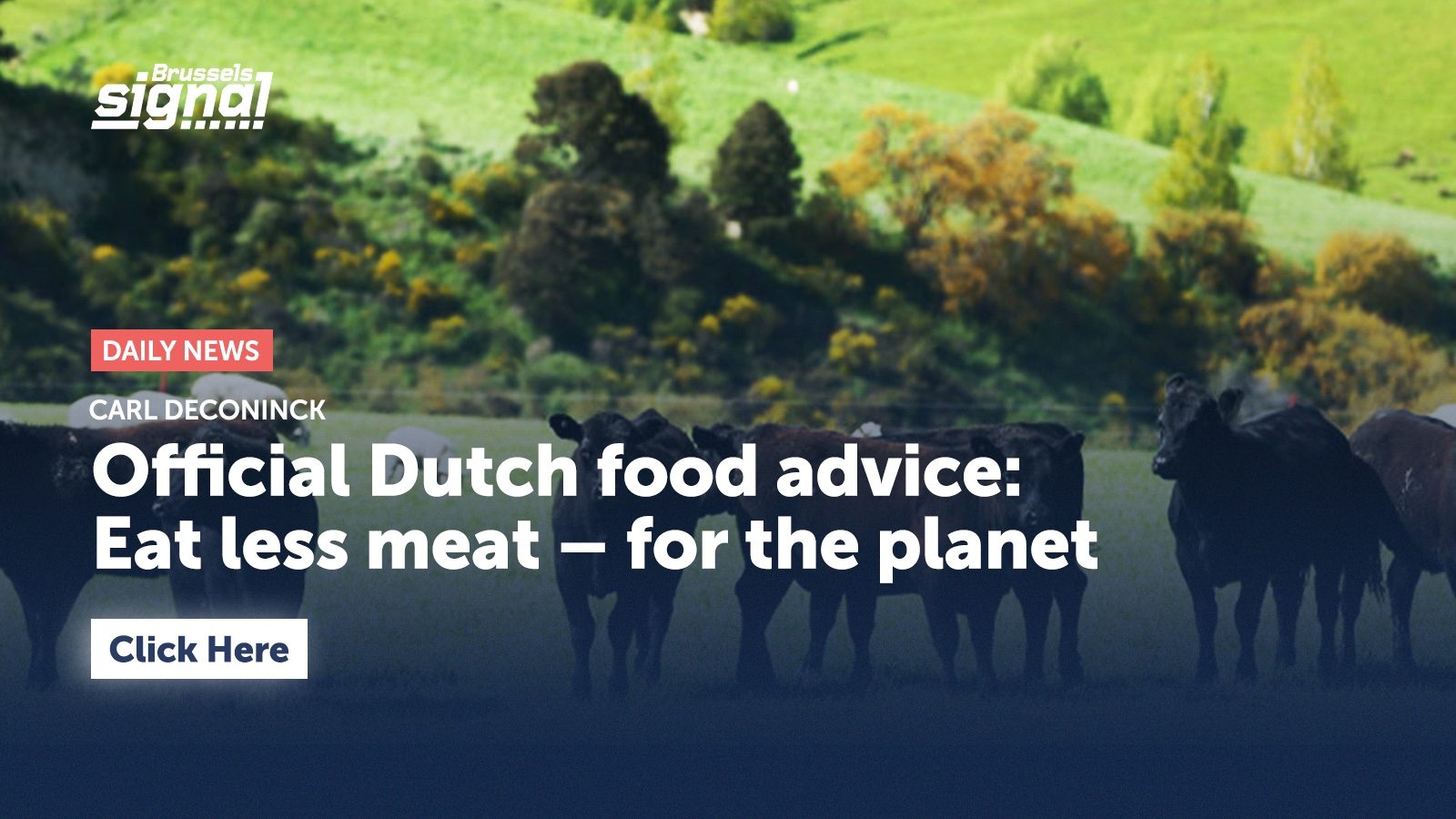 Official Dutch food advice: Eat less meat – for the planet