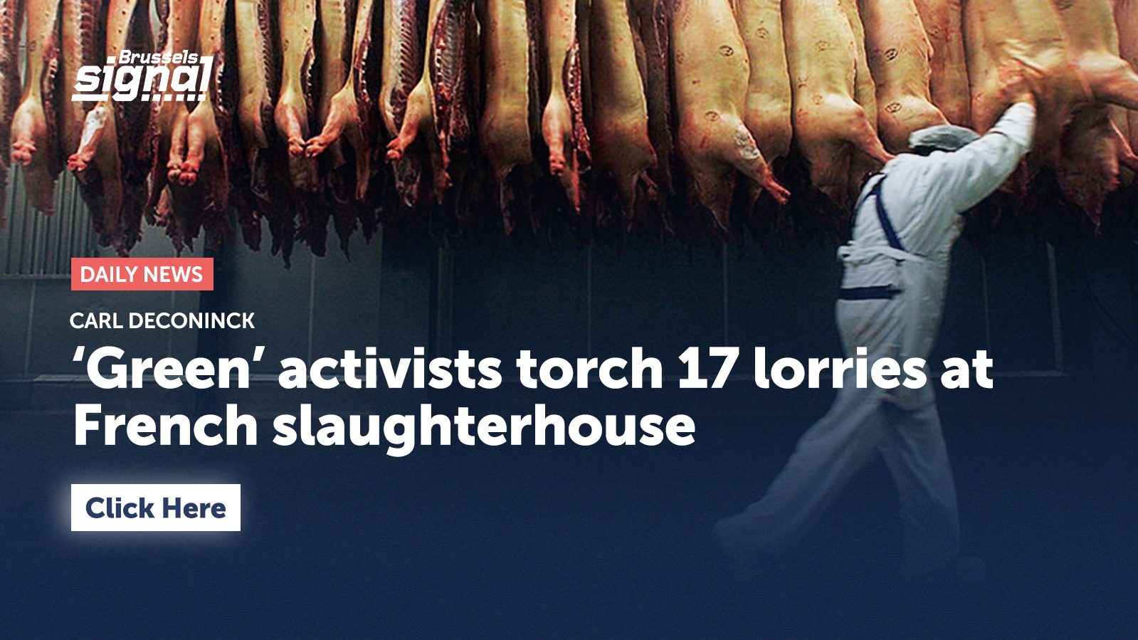 ‘Green’ activists torch 17 lorries at French slaughterhouse