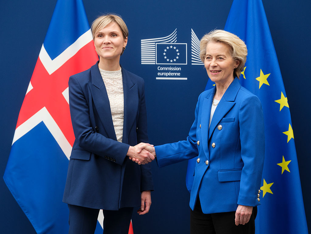 Iceland to hold referendum on reopening EU membership talks