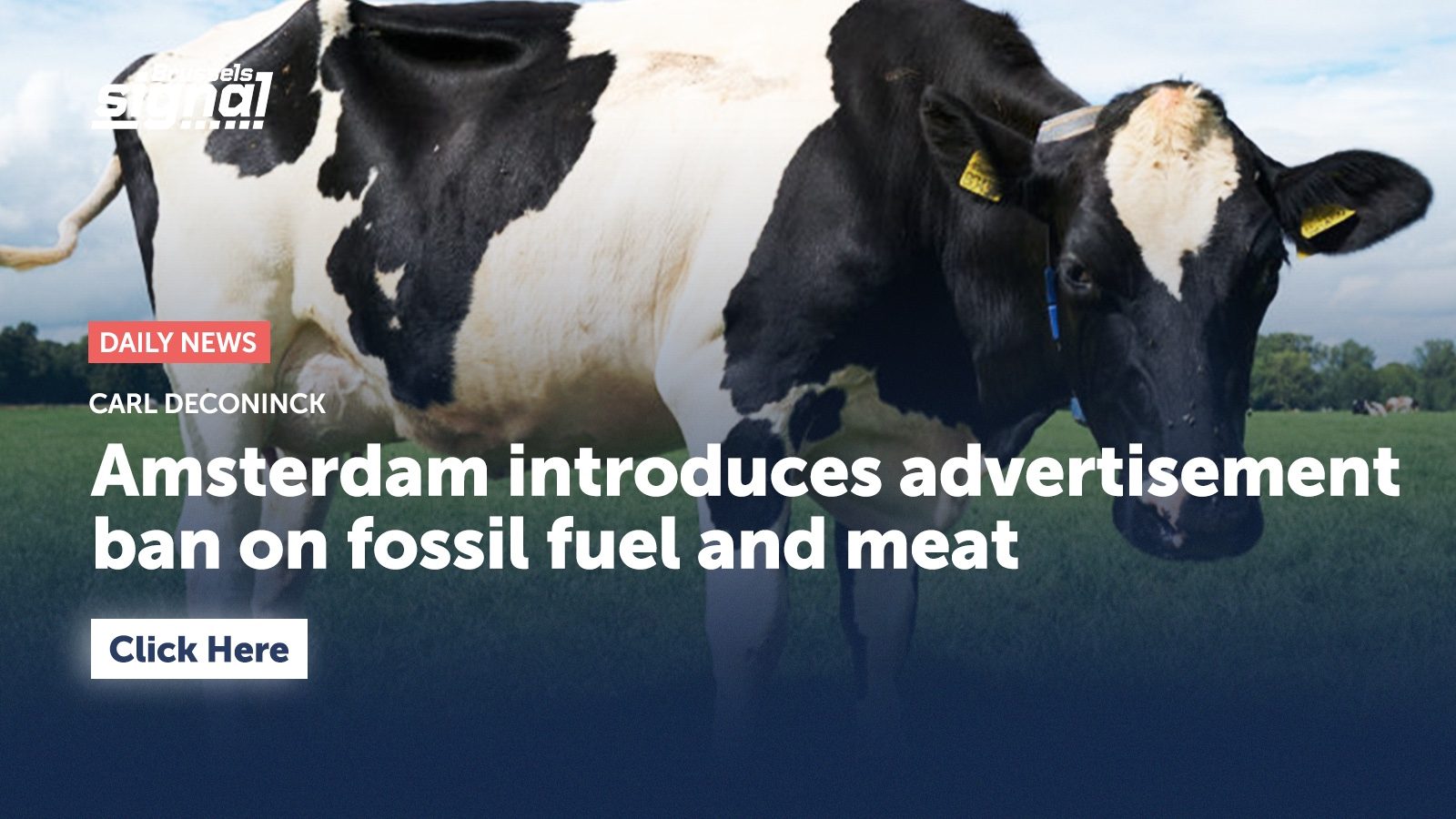 Amsterdam introduces advertisement ban on fossil fuel and meat