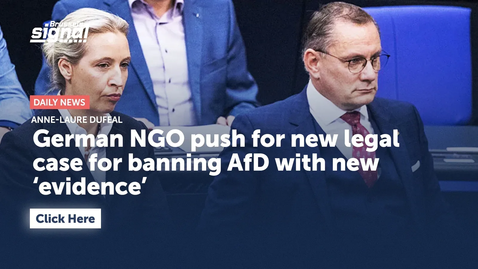 German NGO push for new legal case for banning AfD with new ‘evidence’