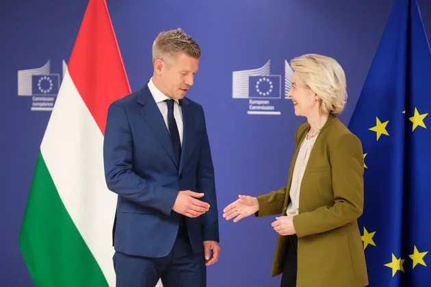Magyar moves to remove Hungary's president in constitutional overhaul