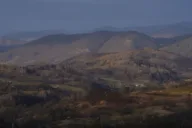 Romania downs third drone in three days and summons Russian ambassador