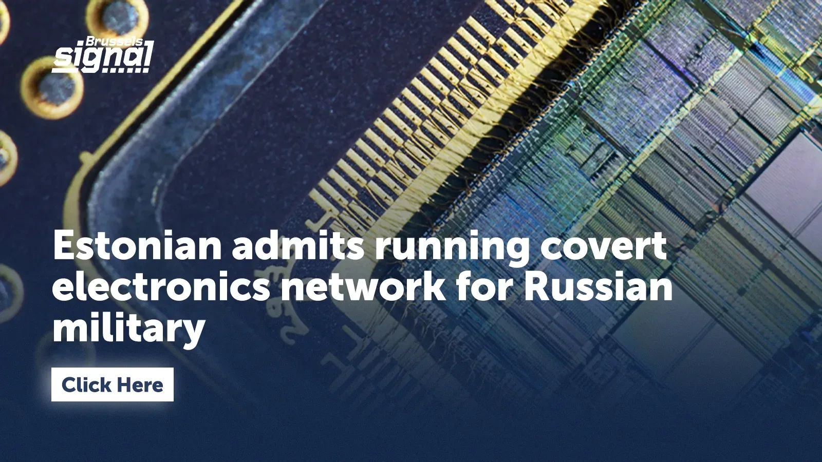 Estonian admits running covert electronics network for Russian military