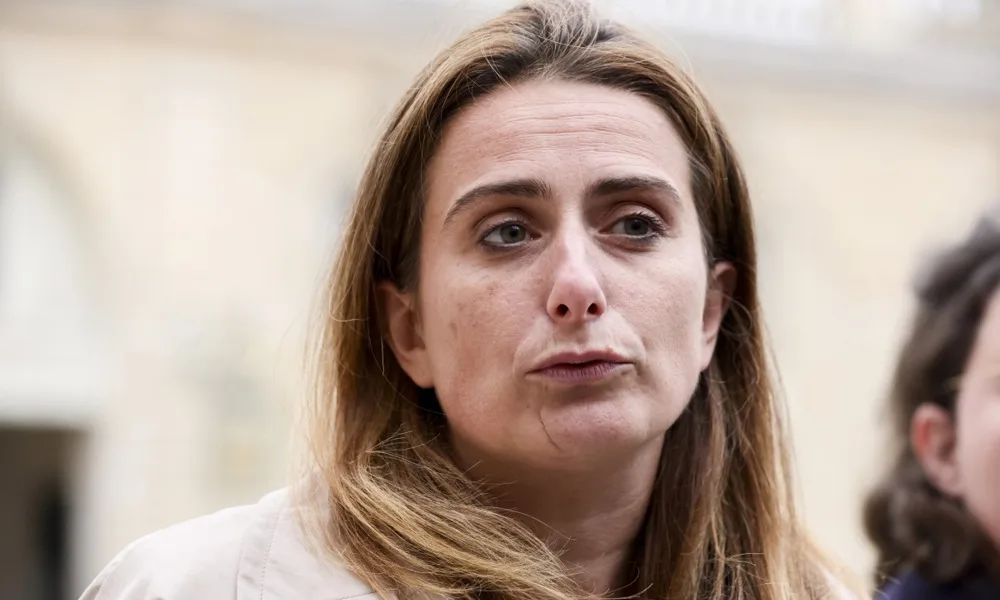 French Greens leader calls for ban on X during elections