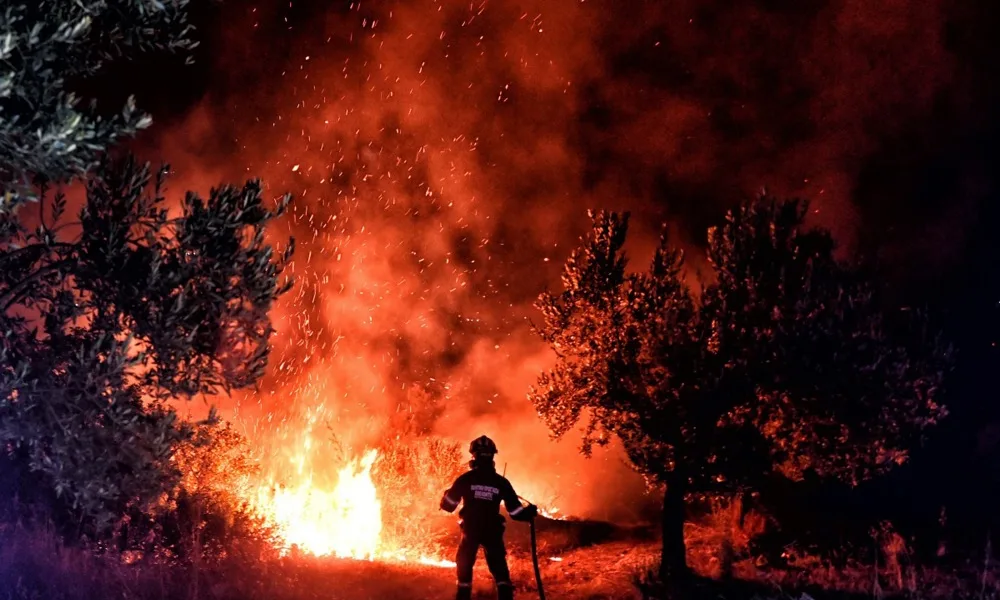 Wind farm cables triggered huge wildfire in Greece