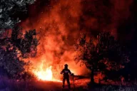 Wind farm cables triggered huge wildfire in Greece