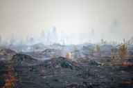 Belgium&rsquo;s biggest wildfire in a century probably caused by government contractor