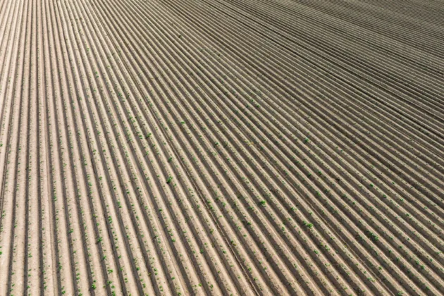 Europe made food abundant. Then Brussels decided to produce less