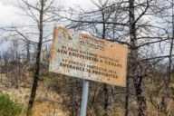 Greece arrests 281 over fire offences this year