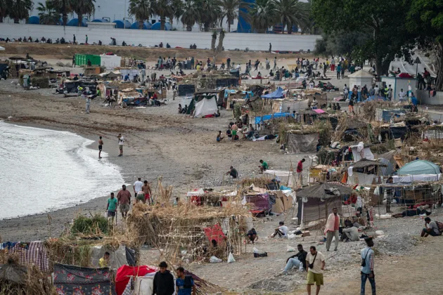 Migrant camps displace Ceuta's cat colonies