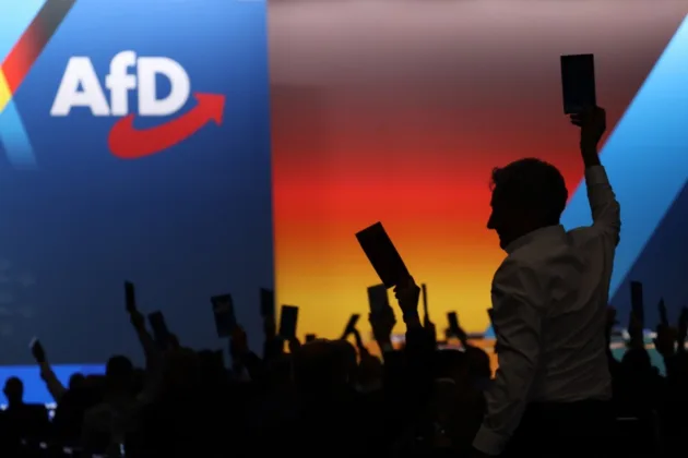 More than 1,000 German lawyers back call for AfD ban &lsquo;to protect democracy&rsquo;