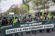 MEP Alexander Sell demands APPF scrutiny of European Greens over antisemitism