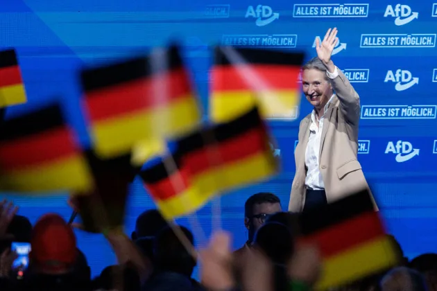 Can the AfD grow up?