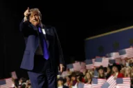 Why the Trump administration supports the AfD