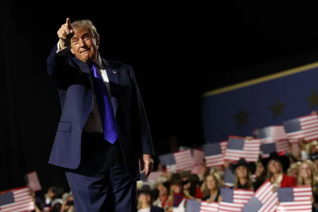 Why the Trump administration supports the AfD