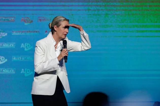 AfD confirms cyberattack as 421,000 internal emails appear online