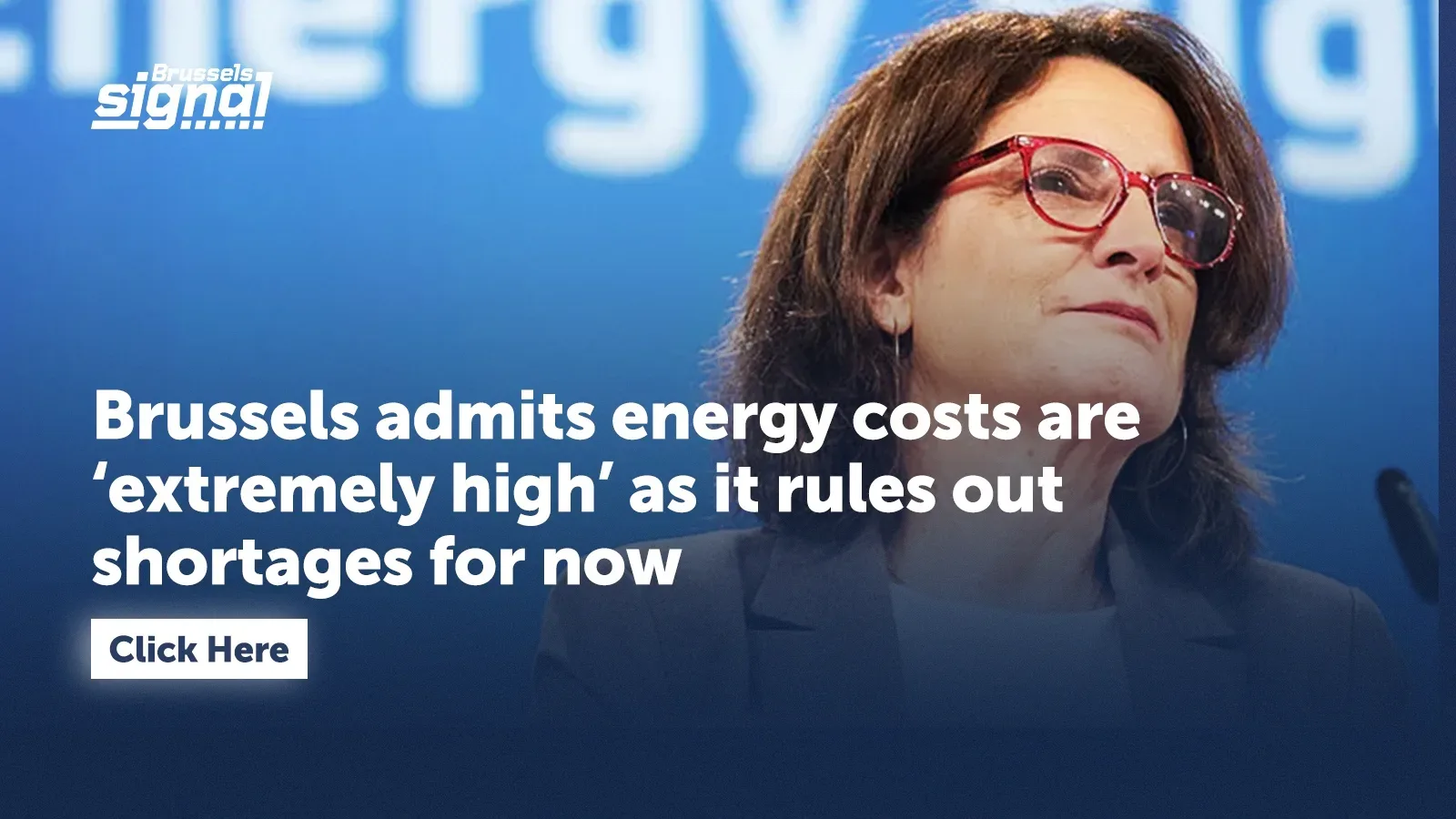 Brussels admits energy costs are ‘extremely high’ as it rules out shortages for now