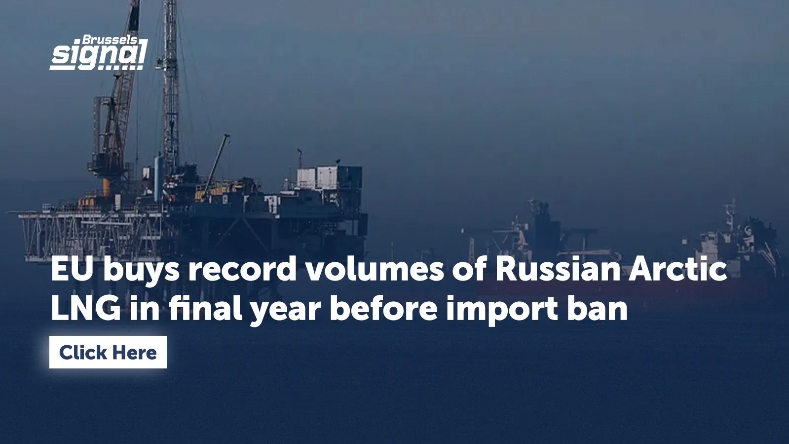 EU buys record volumes of Russian Arctic LNG in final year before import ban